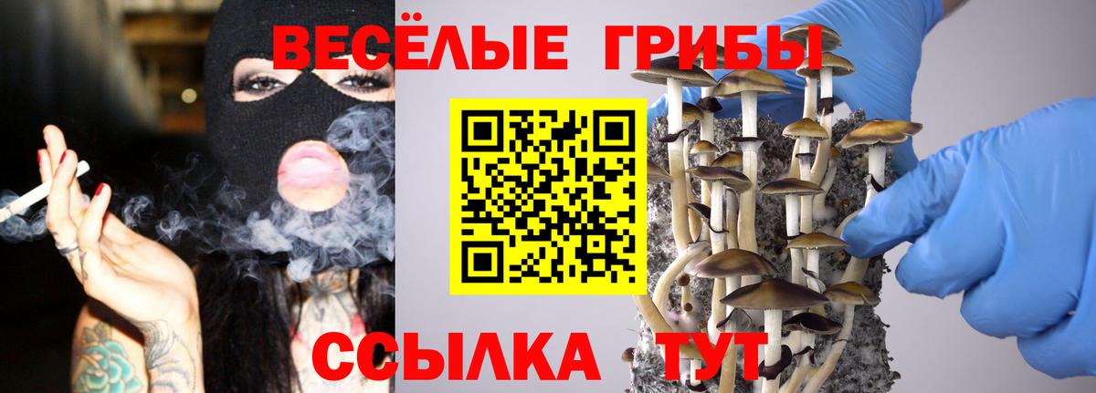 Псилоцибиновые грибы Magic Shrooms  Вход с VPN  Пенза 